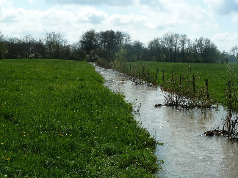 Vue sur le petit canal reliant la Reyssouze au Reyssouzet dans le cadre du projet de continuité écologique