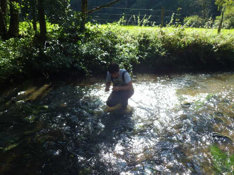 Baadïs en waders réalise un transect EVHA