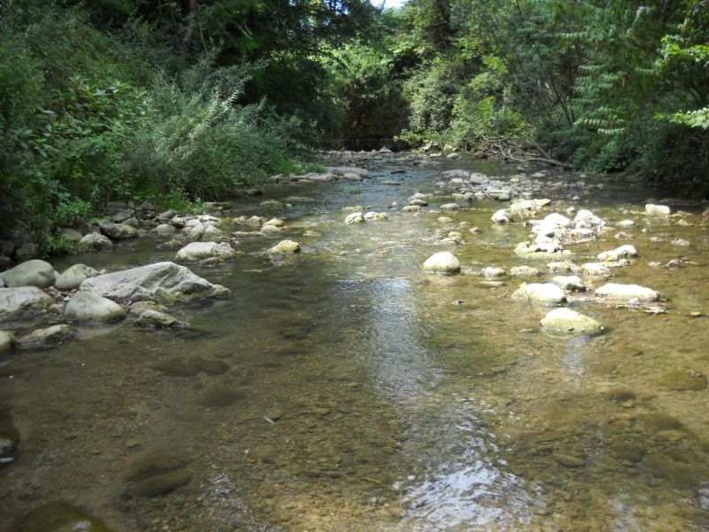 Fiches actions : vue de la rivières Usses