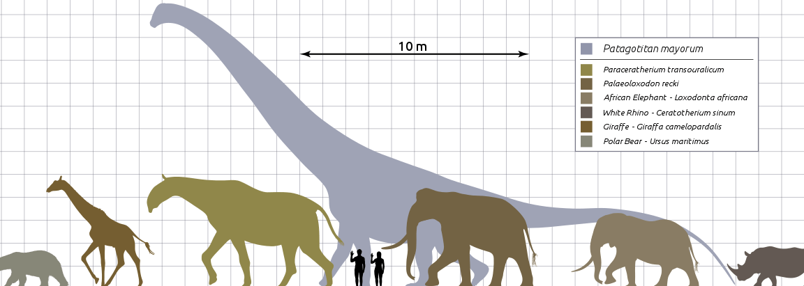 The biblical perspective on what sets humans apart from animals