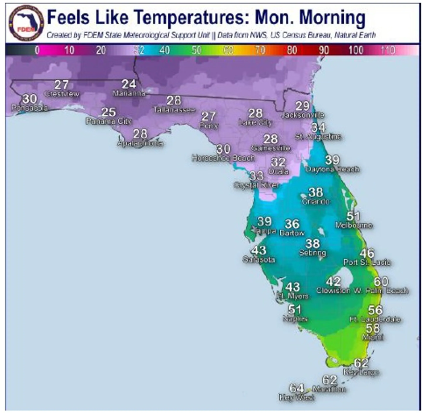 Florida Map Shows Cities Set To Freeze As Cold Hits Newsweek Florida Map 