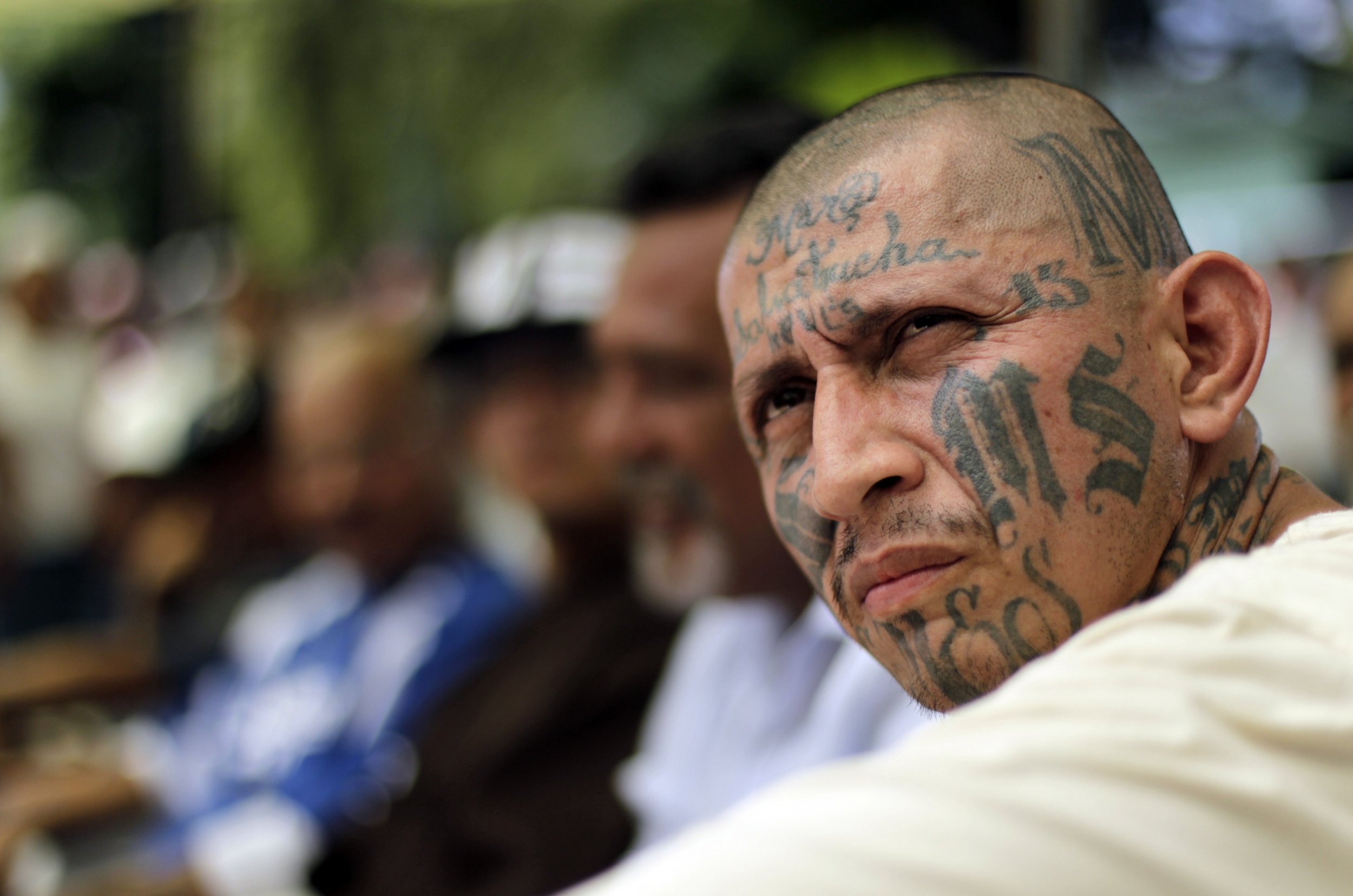 Ms13 El Salvador - Top Ms 13 Leader Warns Gang Not To Wear Nike Cortez Shoes As Feds Arrest 3 800 Members