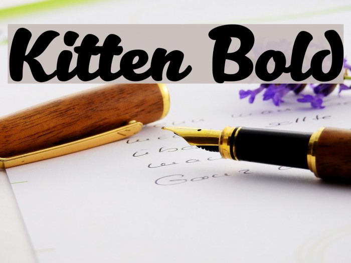 Kitten Bold Font Ffonts Net