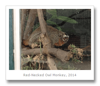 Travel photo