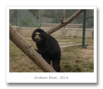 Travel photo