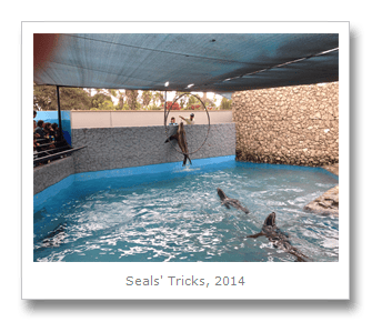 Travel photo
