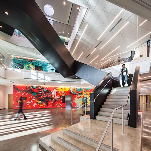 Ringling college of art and design