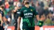 Good news for Pakistan Cricket Team, Haris Rauf set to make full recovery before ICC Champions Trophy