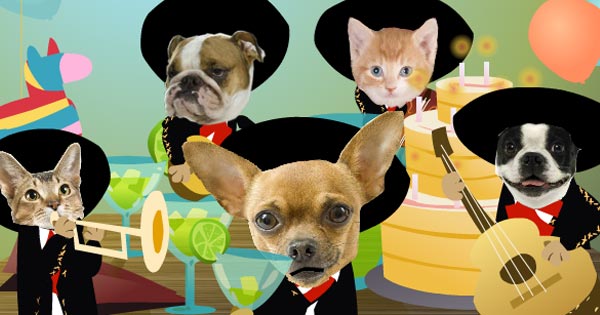 You can apply for a u.s. Mariachi BDay, View the Popular Mariachi BDay eCard