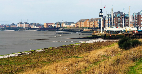 Grays Theatres What S On In Grays Theatres Online