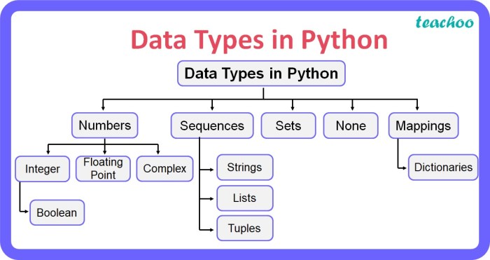 [Class 11] Data Types: Classification of Data in Python - Concepts