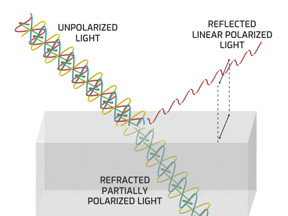 The Physics Of Polarizing Filters The horizontal black plastic reflects less light that is vibrating vertically.