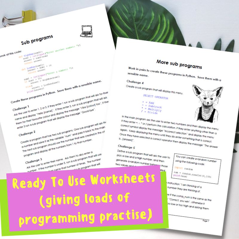 Python Subprograms Lesson Teaching Resources - Premium Sunset Illustration Gallery - HD