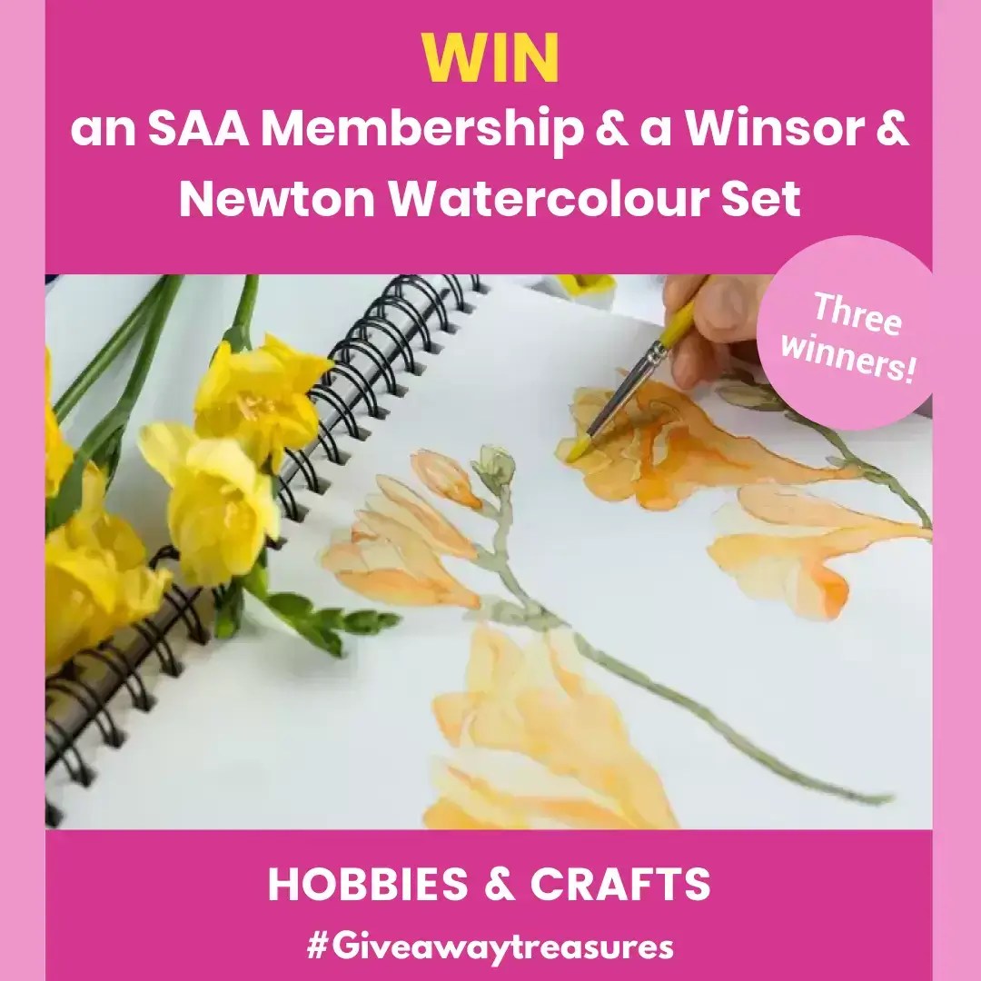 Win an SAA Membership & a Winsor & Newton Watercolour Set