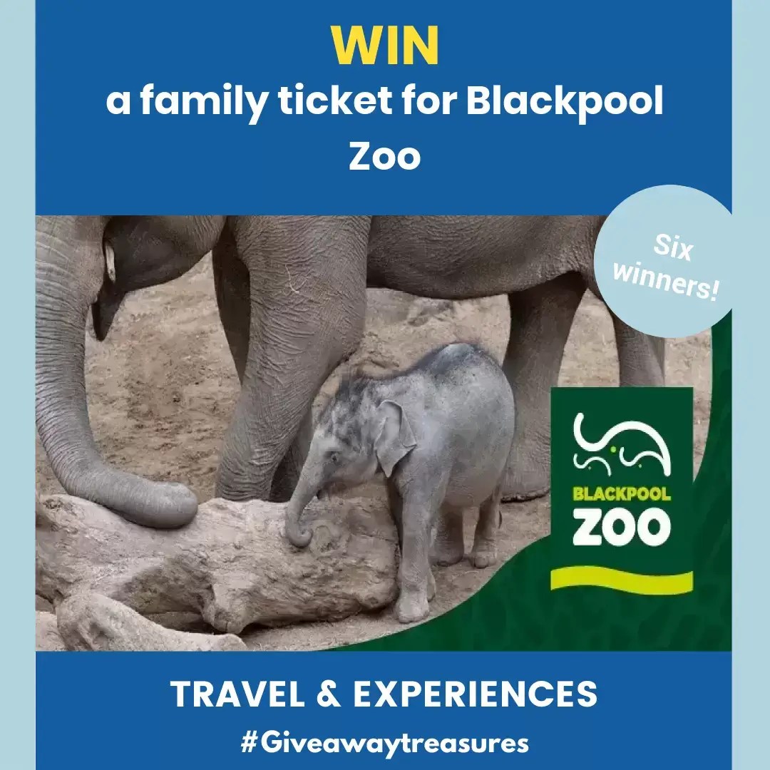 Win a family ticket for Blackpool Zoo