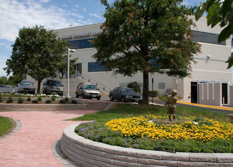 pender pet retreat bark profile and reviews on pender pet retreat reviews