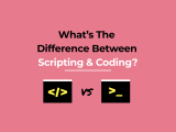 What S The Difference Between Coding And Scripting Skillcrush