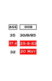 Datasquirrel Ai Anyone Can Analyze Data Faster - Premium Nature Pattern Gallery - Mobile