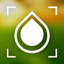 Blur Pro Plugin Bubble - Download Classic Ocean Art | 4K