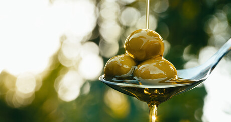 Predicting Olive Oil Quality: Lab-on-a-Fruit Innovation (2026)