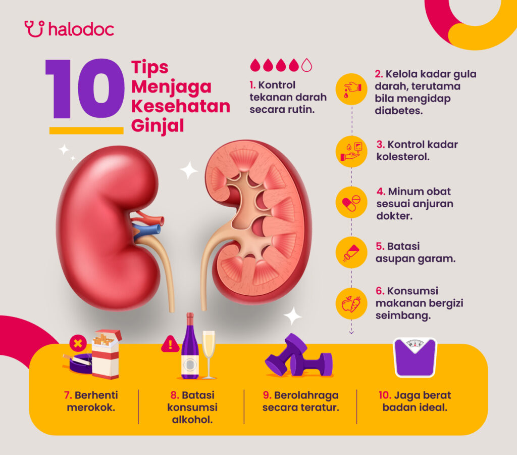 Cara Merawat Ginjal Agar Tetap Sehat