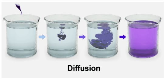 Diffusion Examples - Best City Arts in Retina