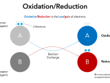Oxidizing And Reducing Agents Definition Examples Expii