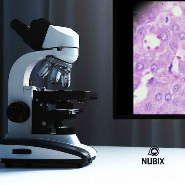 Patologia - NUBIX