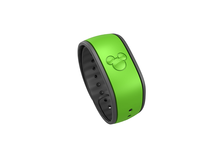 Magicband D23