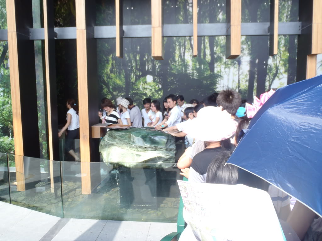 Travel photo