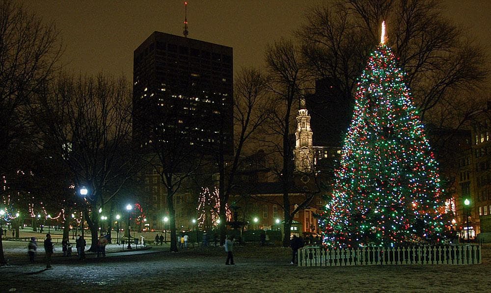 And from a cozy afternoon spent hanging ornaments to a christmas morning brimming with presents, so much of the holiday season revolves around the tree. Boston To Ready For The Holidays With Tree Lighting On The