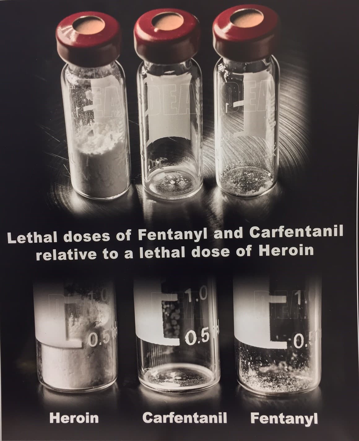 By janet portman, attorney an arrest occurs when police officers take a suspect into custody. A Deadly First: Carfentanil, An Opioid 100 Times More
