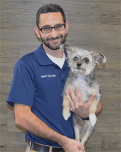 meet our vets at pet doctors of america jacksonville veterinary hospital on pet doctors of america beach boulevard