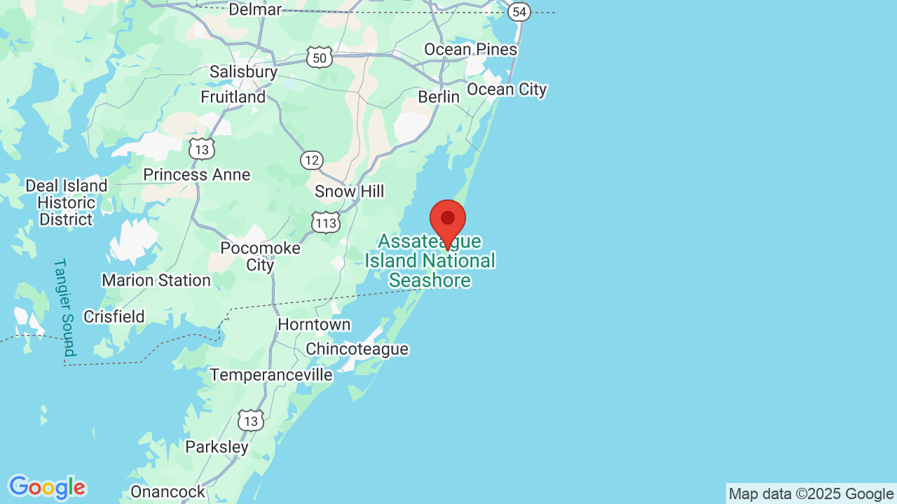 Assateague Island National Seashore Campsite Photos Availability Alerts