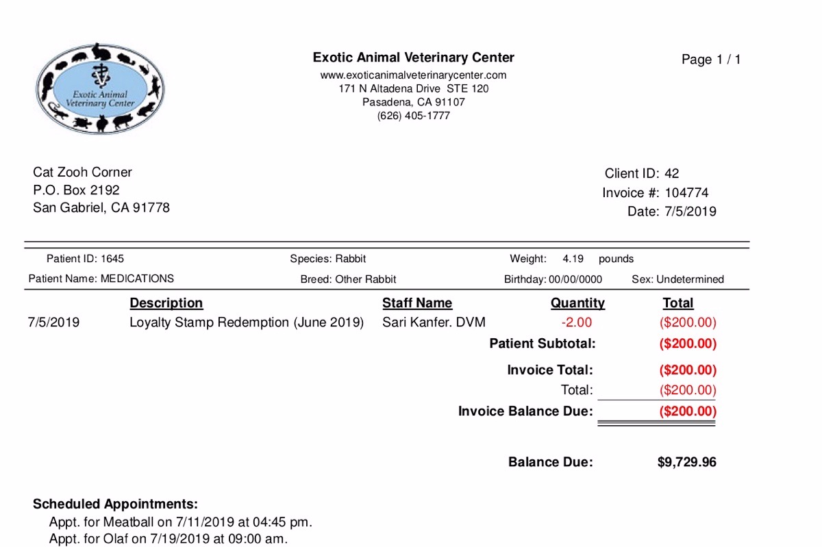 fundraiser by cat logsdon vet bill pay off demand