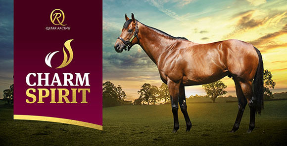 Stallionssolutions Stallionsmilestone Firstanniversary - Best Light Designs in Full HD