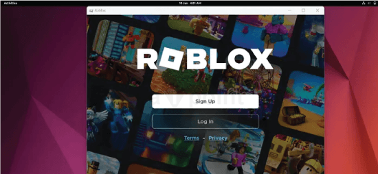 How To Install Roblox On Linux Tpoint Tech How To Install Roblox On Linux2 