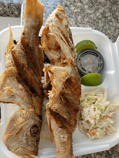 Cover Image of the Post