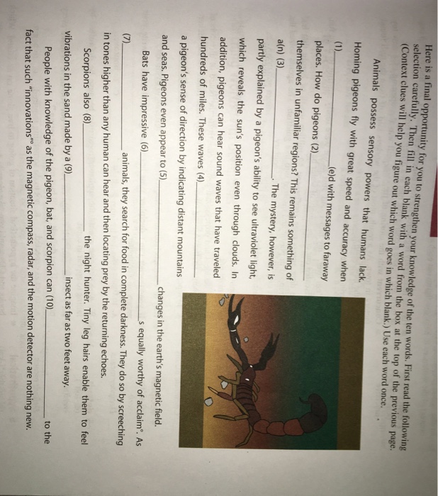 Building Voary Skills Ppt Download Answer key that increase in difficulty as your child proceeds through the book.