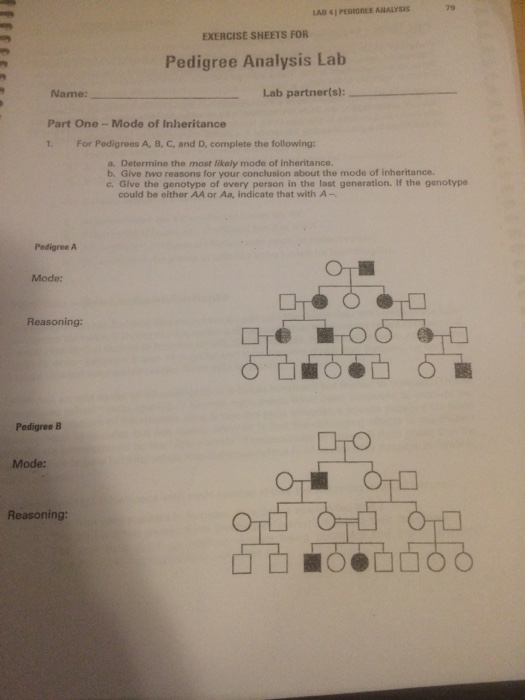 Pedigree Lab Activity Answers : Genetics Lab 4 Pedigree Analysis Part One Mode Chegg Com