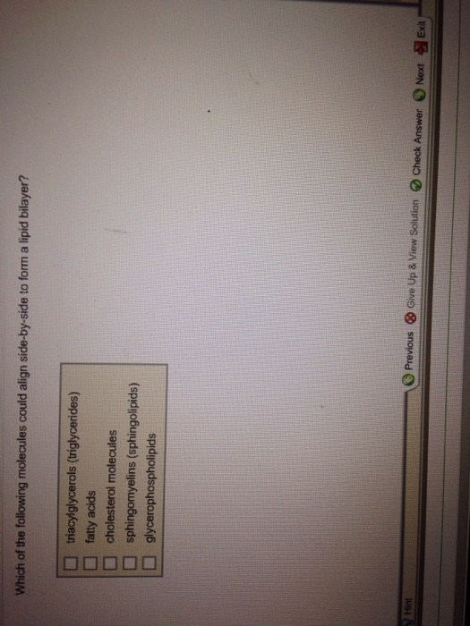Solved: Which Of The Following Molecules Could Align Side ...