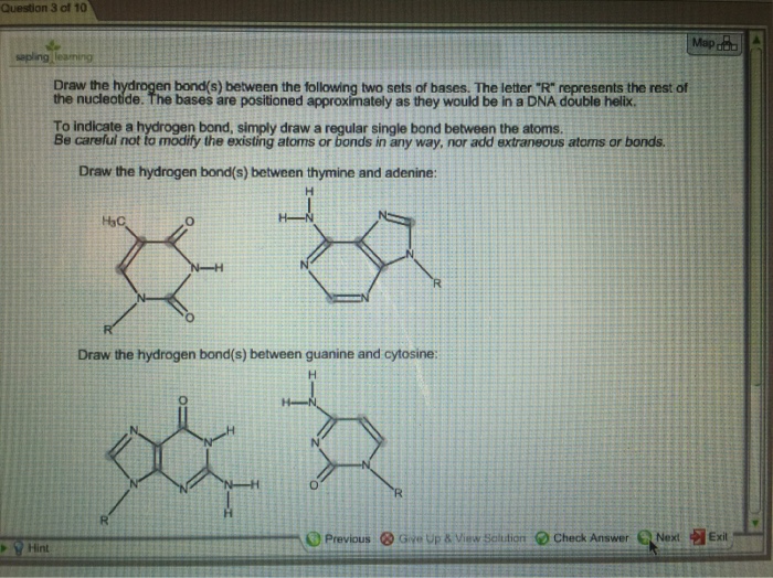 Draw The Hydrogen Bonds Between Thymine And Adenine Draw The Hydrogen Bonds Between Guanine And Cytosine Image Src Bonds2725479140435115755 Jpg Alt Bonds Caption Study 