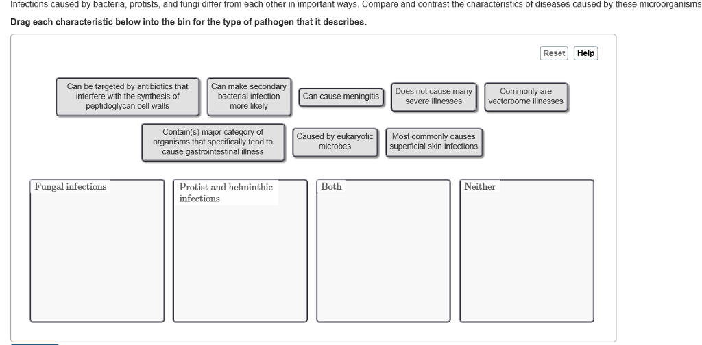 Solved: Infections Caused By Bacteria, Protists, And Fungi ... Solved: Infections Caused By Bacteria, Protists, And Fungi ...