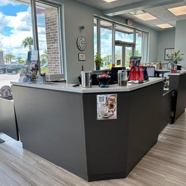 Learn more about animal hospital at babcock and it's vets