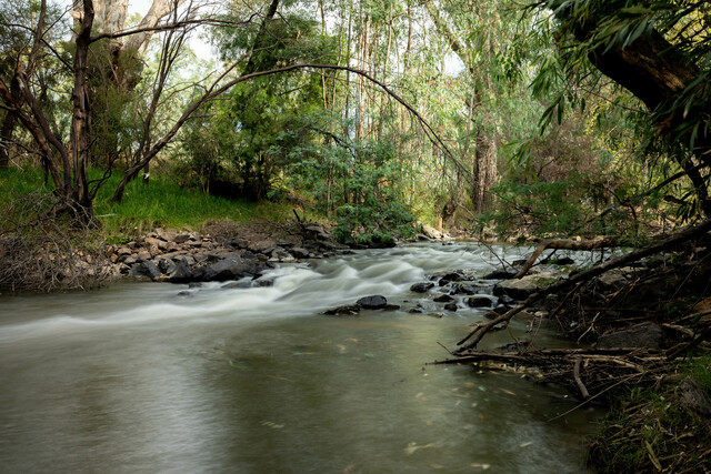 5 best camping spots in victoria :: camplify