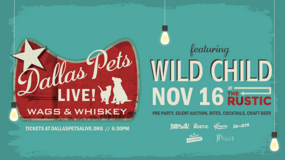 special events archives dallas pets alive on dallas pets alive soiree