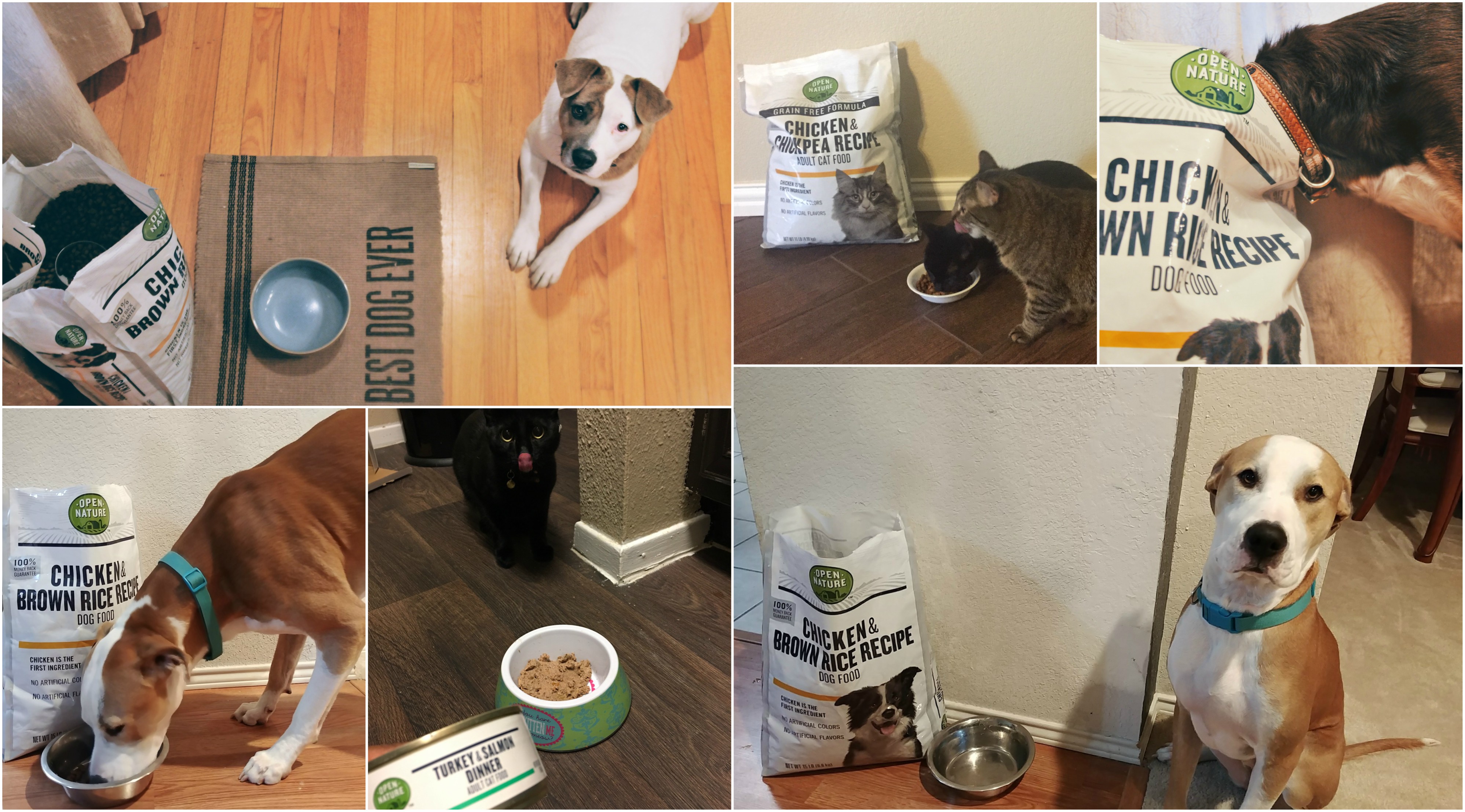 new product review open nature grain-free pet food dallas pets alive on dallas pets alive reviews