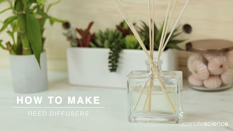 How To Make Reed Diffusers Candlescience - City Picture Collection - 8K Quality