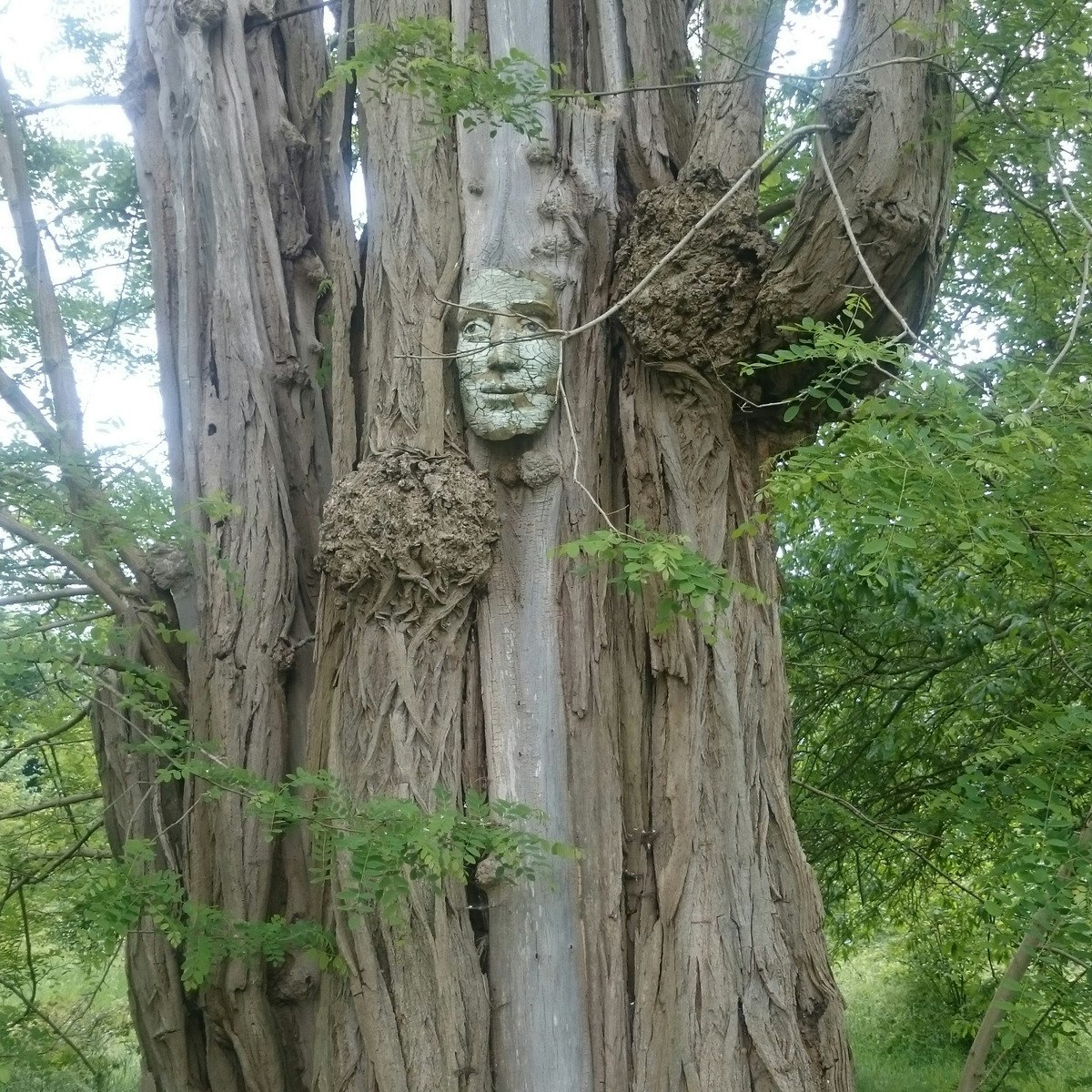 Interpretable Machine Learning Applications Part 1 Online Course - Sunset Pattern Collection - 8K Quality