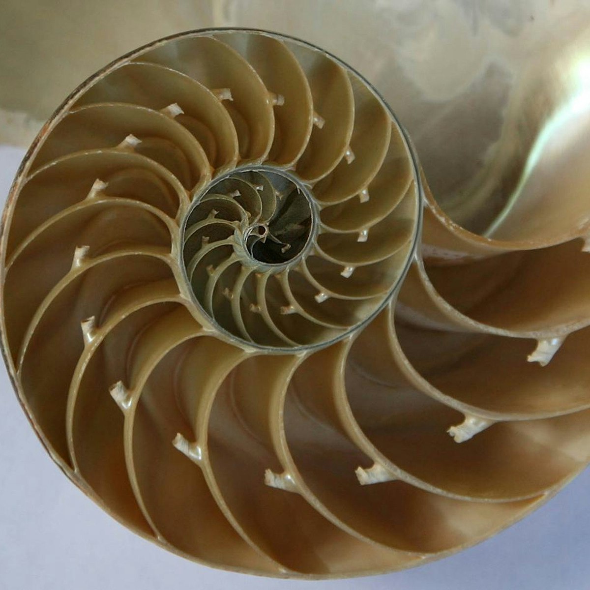 Vector Calculus For Engineers Coursera - Download Professional Sunset Picture | Full HD